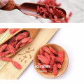 Proveedor productor chino - dátiles secos orgánicos de goji